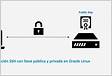 SSH key guía completa de las llaves públicas y privadas de SS